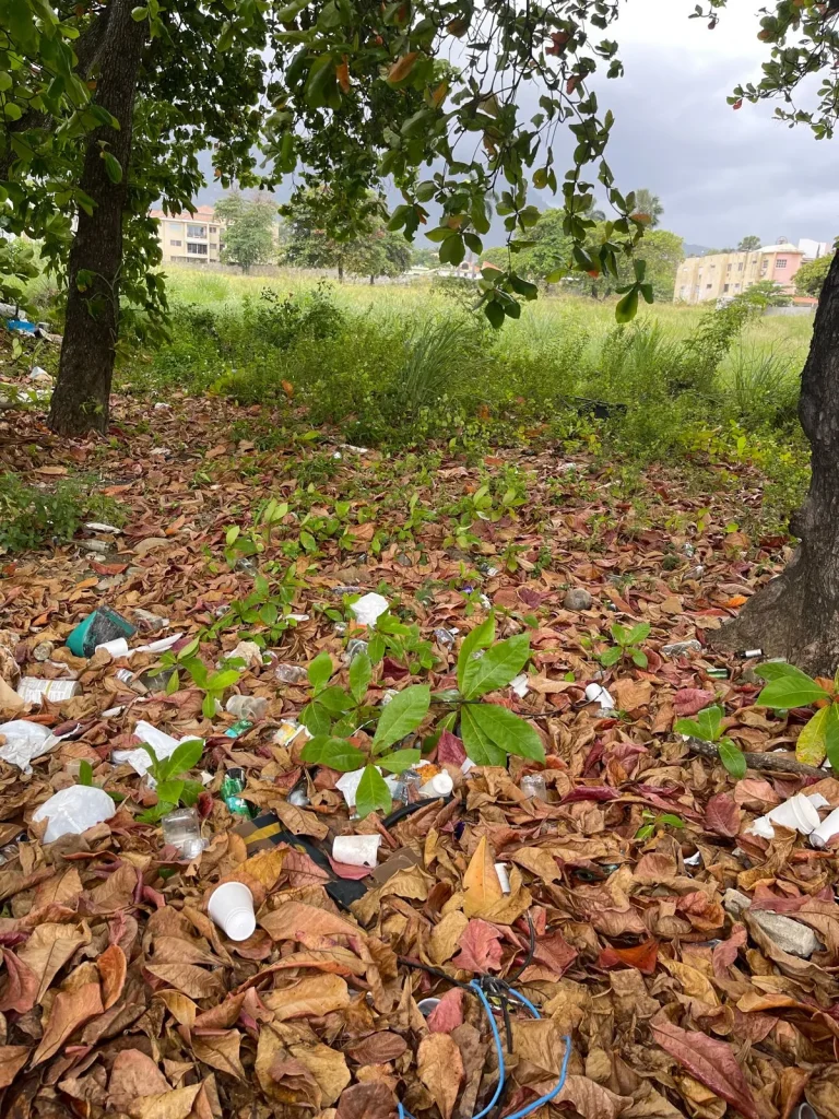 Terreno de Venta en el Malecon, Puerto Plata