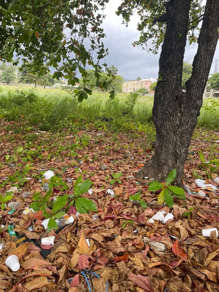 Terreno de Venta en el Malecon, Puerto Plata