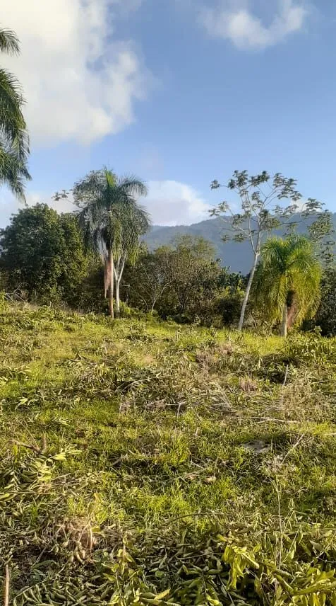 Se Vende 41 Tareas de Tierra en Jarabacoa