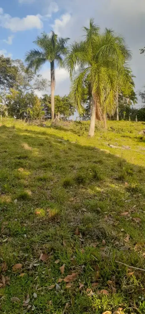 Se Vende 41 Tareas de Tierra en Jarabacoa