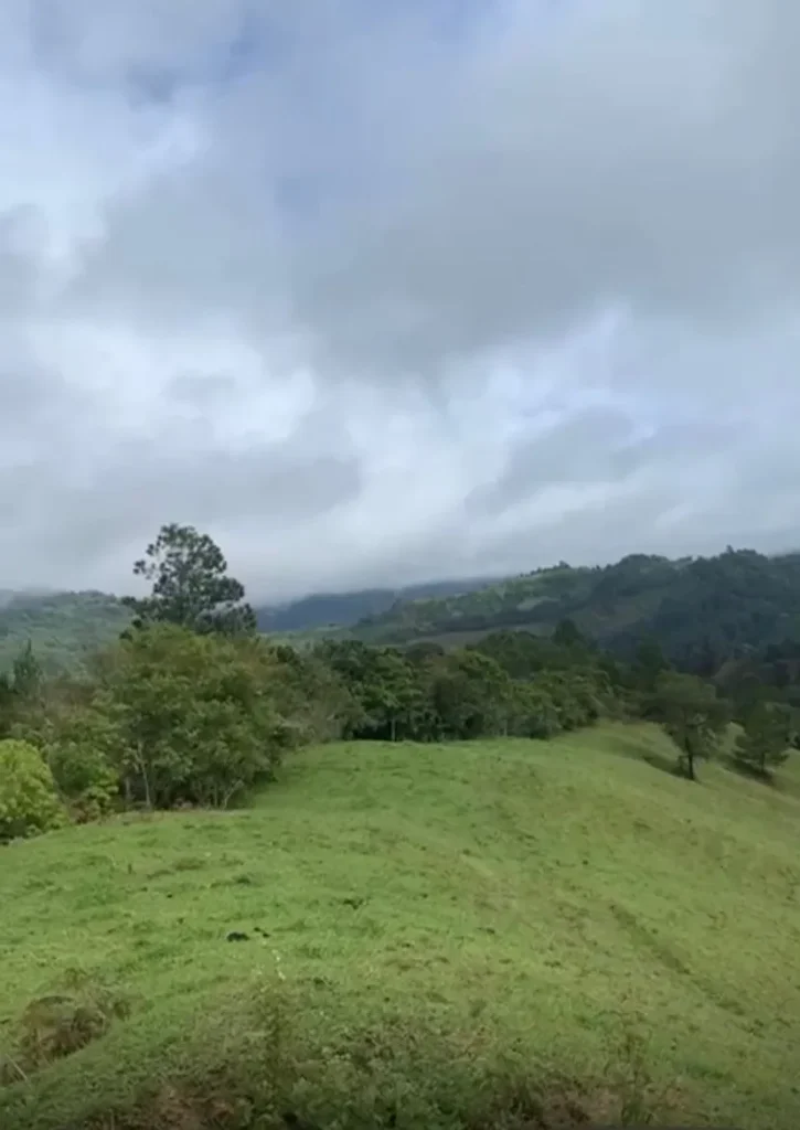 380 Tareas de Tierra de Venta en Jarabacoa